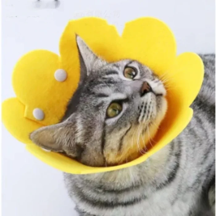 BUĞZ Evcil Hayvan M Boy Keçe Elizabeth Yakalığı