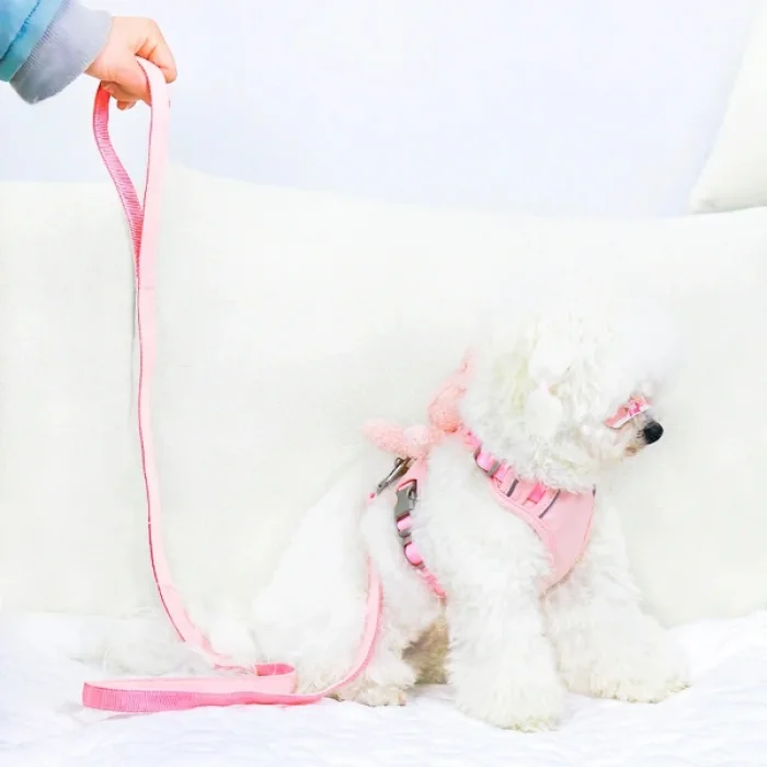 BUĞZ Evcil Hayvan Peluş Ayıcıklı Göğüs Gezdirme Tasması Set