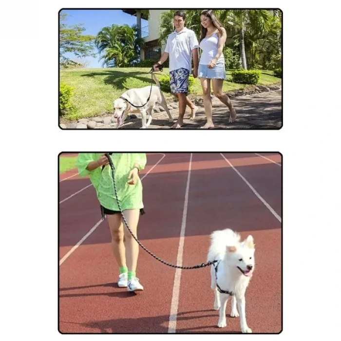 BUĞZ Evcil Hayvan Reflektörlü Fitil Gezdirme Tasması 8 mm x 120 cm