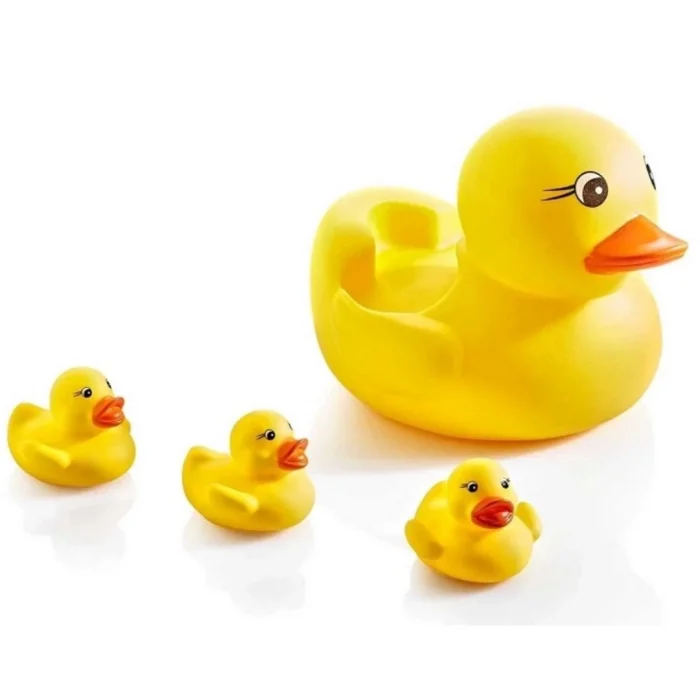  Filede Sevimli Ördek Ailesi