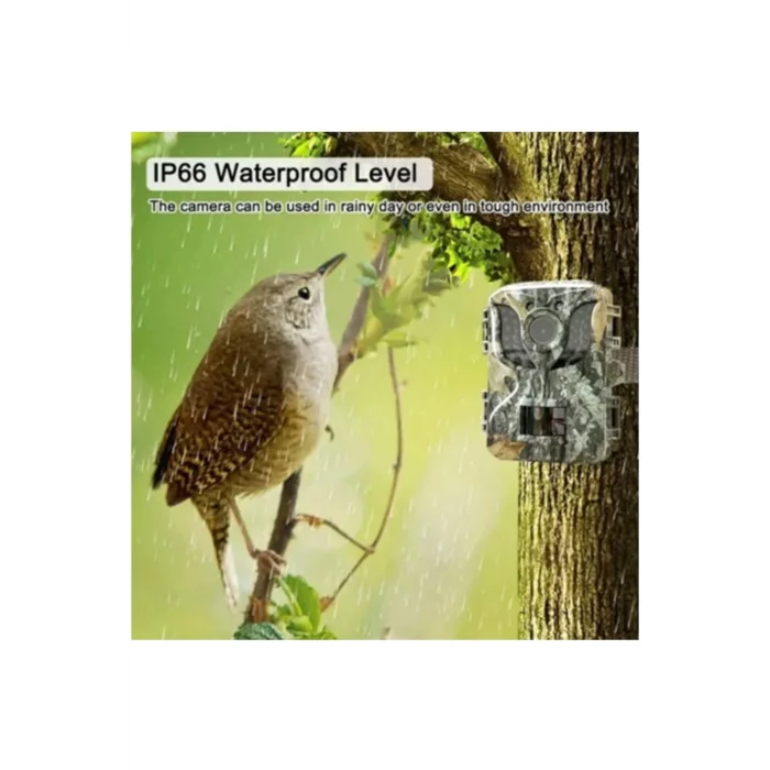 BUĞZ Fotokapan Kamera 16mp Full Hd 1080p Gece Görüşlü 2 Inç Lcd Ekran Su Geçirmez - Lisinya