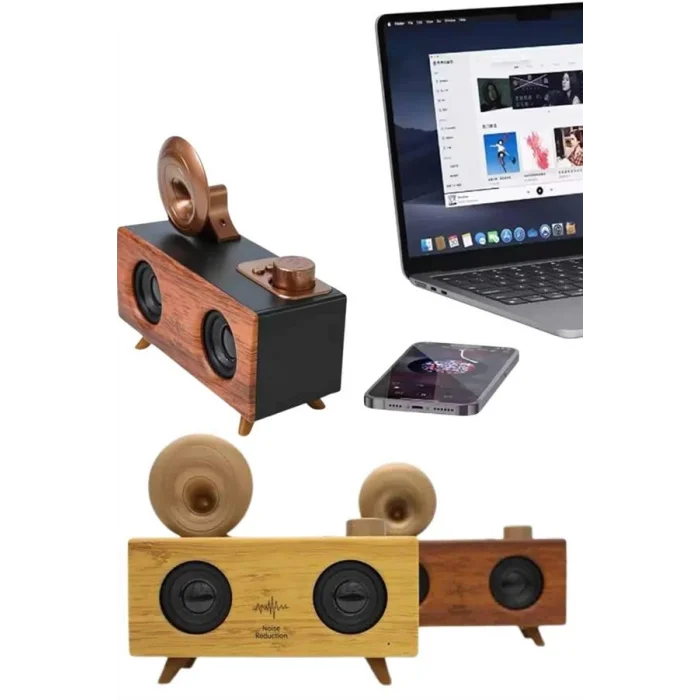 BUĞZ Gramafon Nostaljik Radyo Yüksek Ses Kalitesi USB TF Kart Aux - BUĞZ
