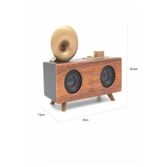 BUĞZ Gramafon Nostaljik Radyo Yüksek Ses Kalitesi USB TF Kart Aux - Lisinya