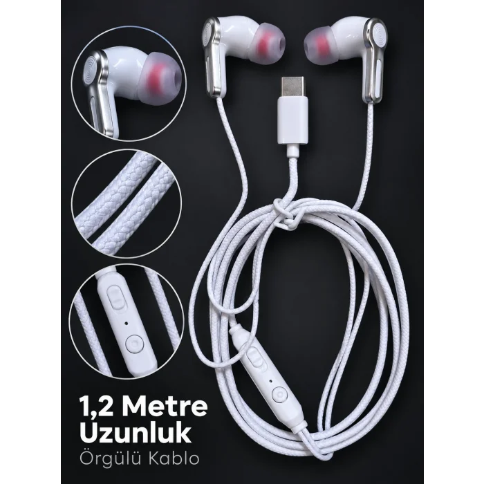 BUĞZ Gümüş Detaylı Silikon Başlıklı Type C Kablolu Kulaklık - BUĞZ