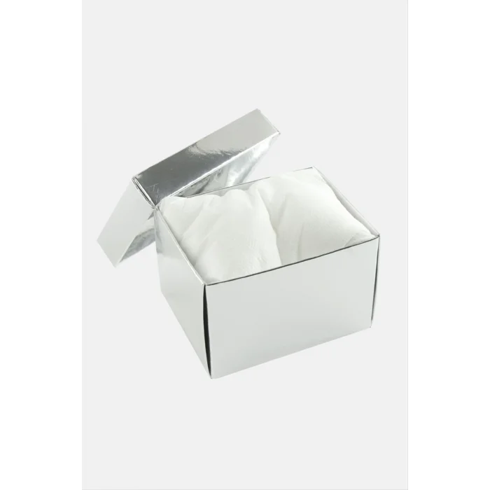 BUĞZ Gümüş Renkli Kapaklı Saat Kutusu