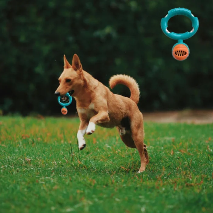 BUĞZ Halatlı Disk Köpek Isırma Oyuncağı - Mama Ödüllü Mekanizma
