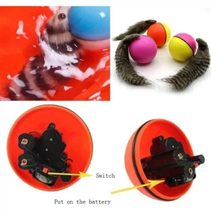  Hareketli Rakun Kedi Köpek Oyuncak