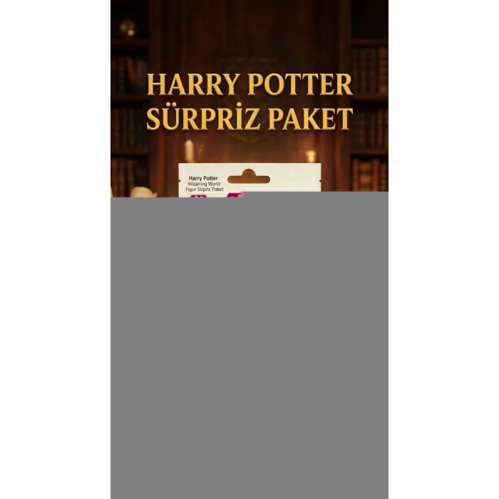 BUĞZ Harry Potter Koleksiyon Figür Sürpriz Paket Oyuncak 1 Adet