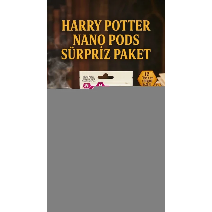 BUĞZ Harry Potter Koleksiyon Sürpriz Figür Seri Oyuncak