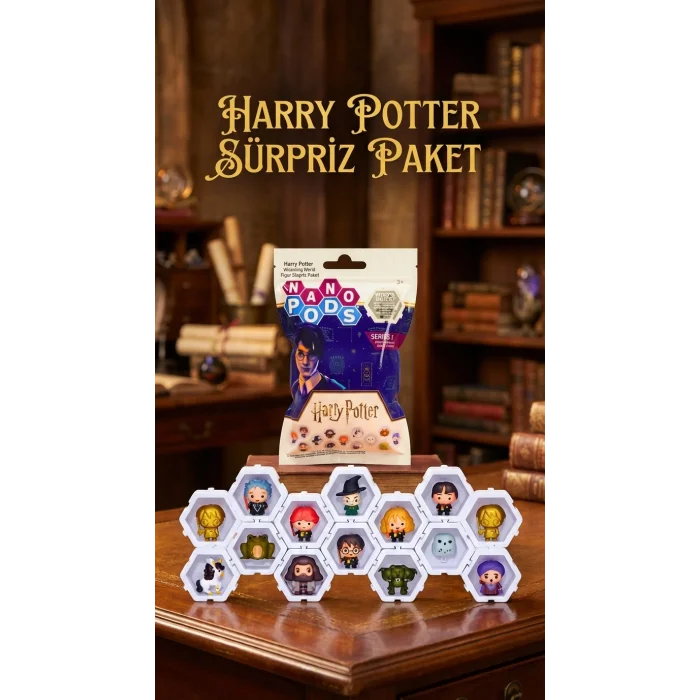 BUĞZ Harry Potter Koleksiyon Sürpriz Figür Seti Ünlü Karakterler