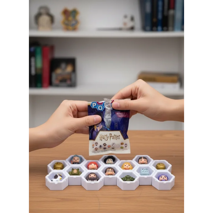 BUĞZ Harry Potter Koleksiyon Sürpriz Figür Seti Ünlü Karakterler
