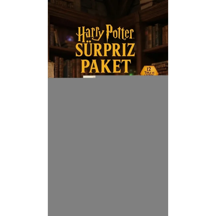 BUĞZ Harry Potter Sürpriz Figür Koleksiyonu Kutu Oyuncak