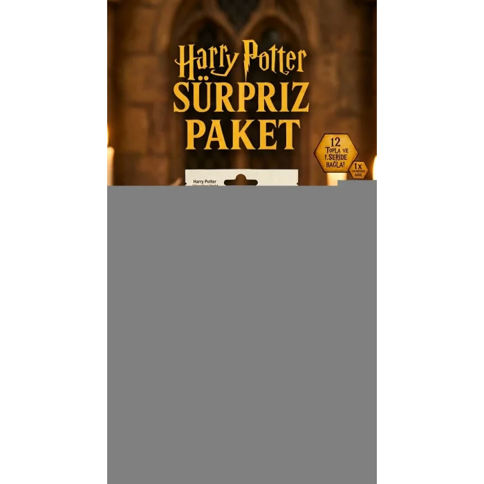 BUĞZ Harry Potter Sürpriz Figür Oyuncak Koleksiyon Kutusu