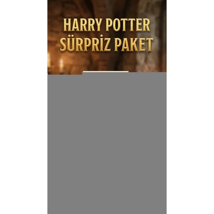 BUĞZ Harry Potter Temalı Sürpriz Figür Koleksiyonu Oyuncak Seti