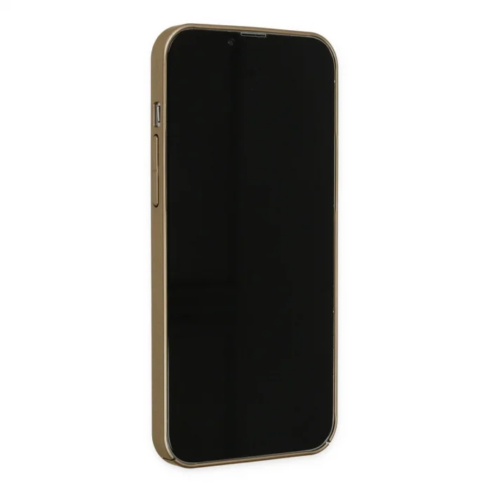 BUĞZ İphone 13 Pro Kılıf Jack Magneticsafe Lens Silikon - Gold
