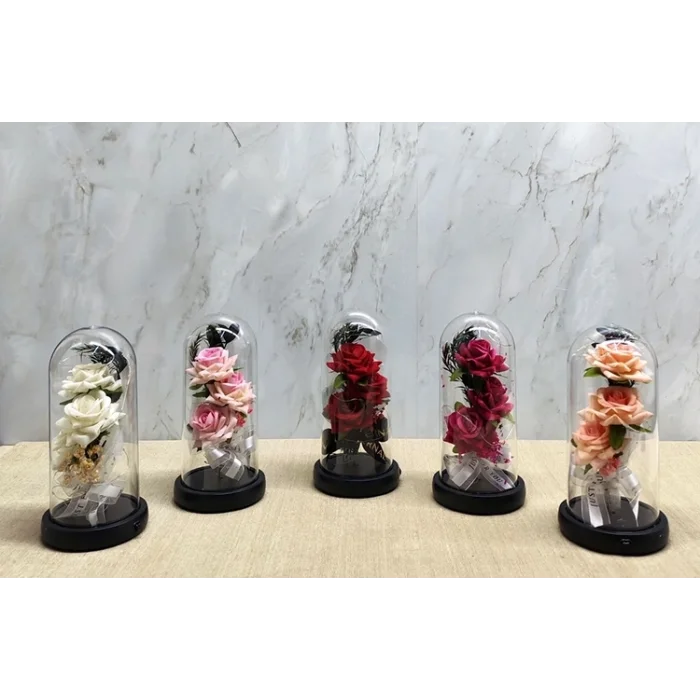 BUĞZ Işıklı Müzikli Cam Fanus İçinde Romantik Gül