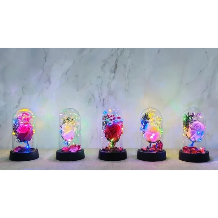 BUĞZ Işıklı Müzikli Romantik Büyük Gül