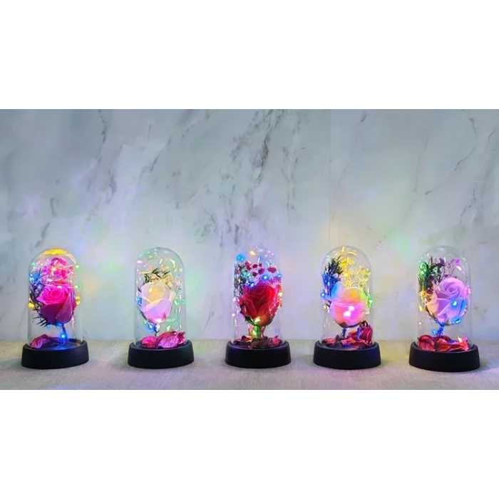 BUĞZ Işıklı Müzikli Romantik Büyük Gül