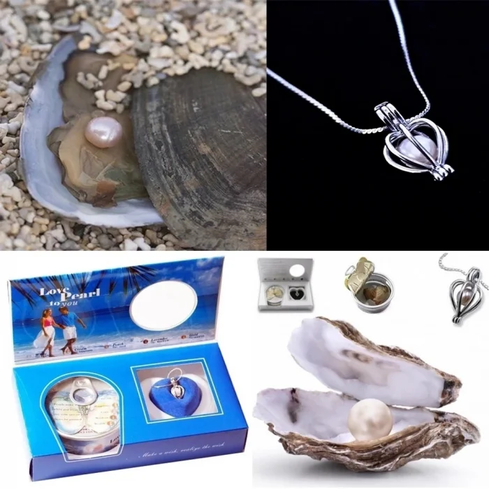 BUĞZ İstiridye İçinde İnci Kolye Seti