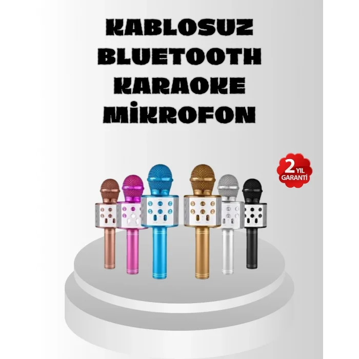 BUĞZ Kablosuz Bluetooth Karaoke Mikrofon  Yankı Efektli
