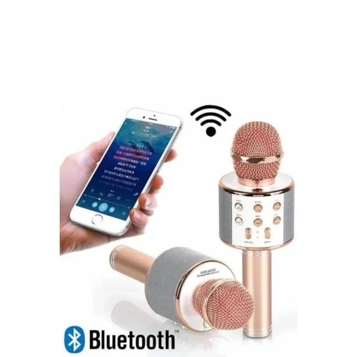 BUĞZ Karaoke Mikrofon Dahili Hoparlörlü Sd-usb-aux Girişli Bluetooth Hoparlör - BUĞZ
