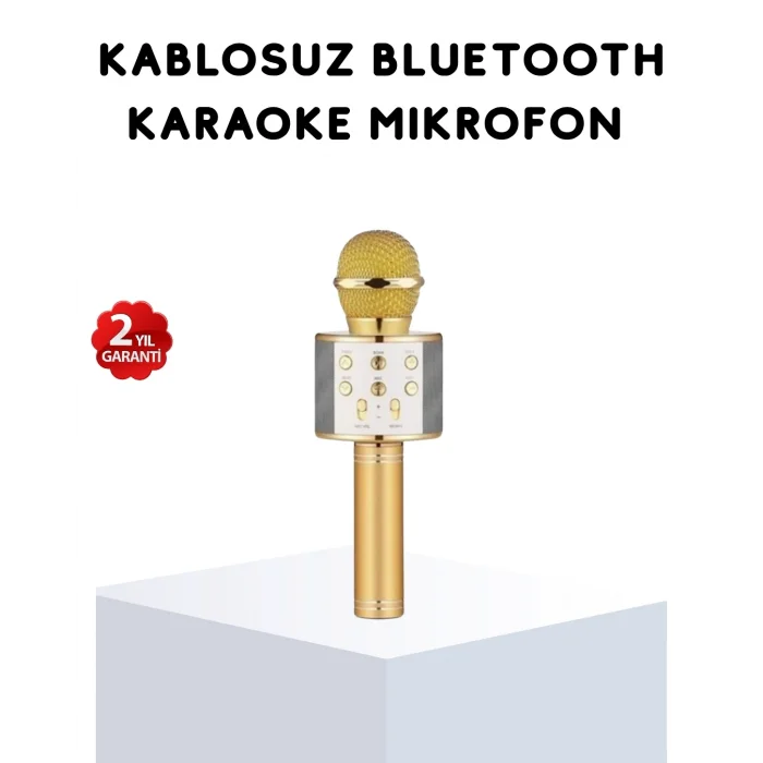 BUĞZ Karaoke Mikrofonu Bluetooth USB AUX Girişli Yankı Efektli