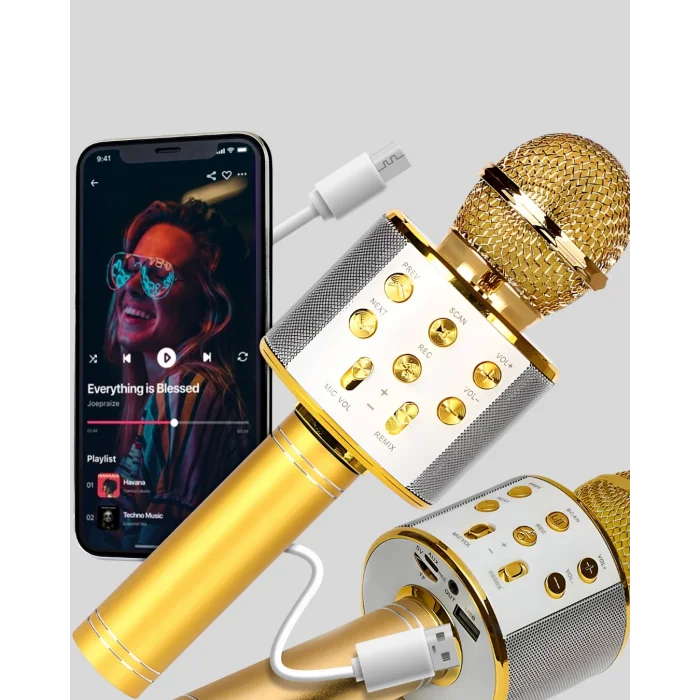 BUĞZ Karaoke Mikrofonu Bluetooth USB AUX Girişli Yankı Efektli