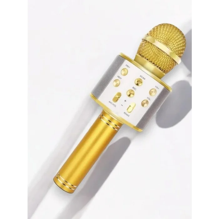 BUĞZ KAREOKE  MIKROFON - BUĞZ