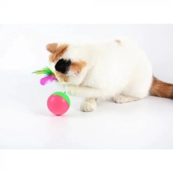 BUĞZ Kedi Fare Hacıyatmaz Oyunu