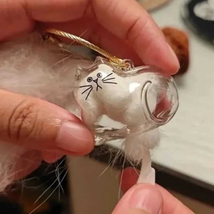 BUĞZ Kedi Şeffaf Anı Anahtarlığı - Kedi Figürlü - Karışık Model