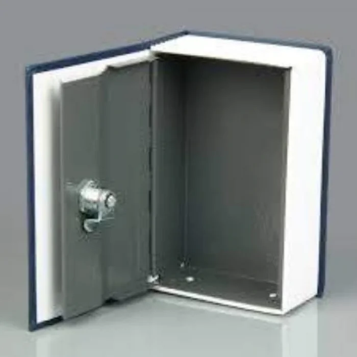 BUĞZ Kitap Görünümlü Gizli Kasa