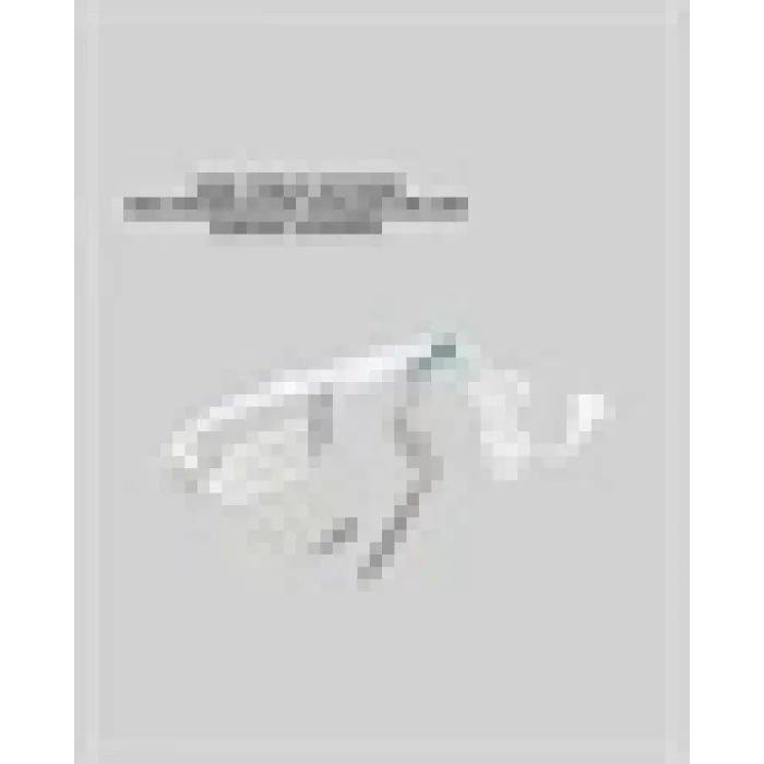  Kompakt Seyahat Ütüsü 1500W | Koku Giderici Buhar Fonksiyonlu