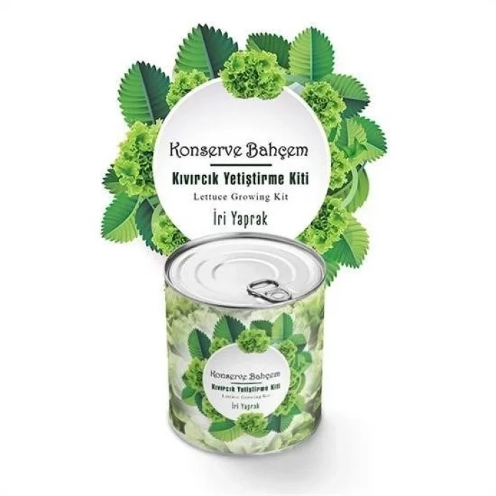 BUĞZ Konserve Bahçem Evde Konservede İri Yapraklı Kıvırcık Yetiştirme Kiti