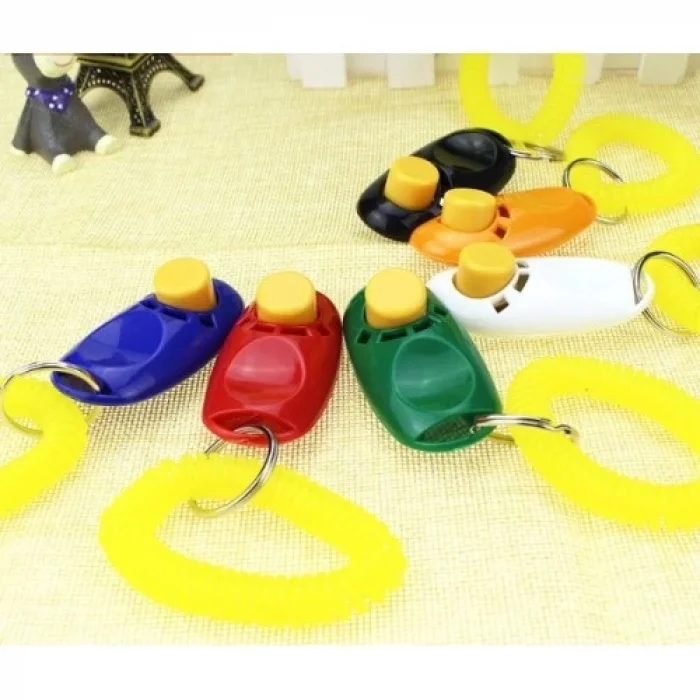 BUĞZ KÖPEK EĞITIMI CLICKER