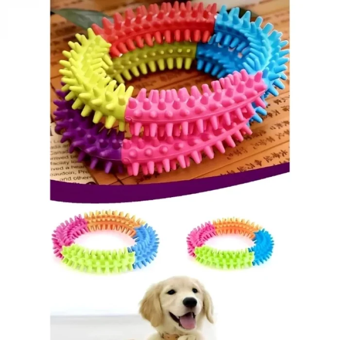  Köpek Isırma Diş Kaşıma Çemberi