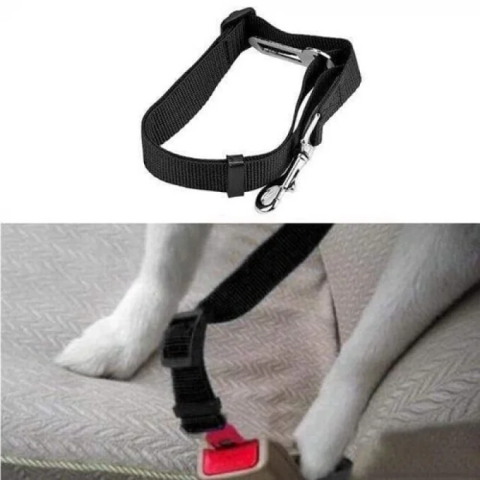 BUĞZ Köpek Tasma Araba Emniyet Kemeri