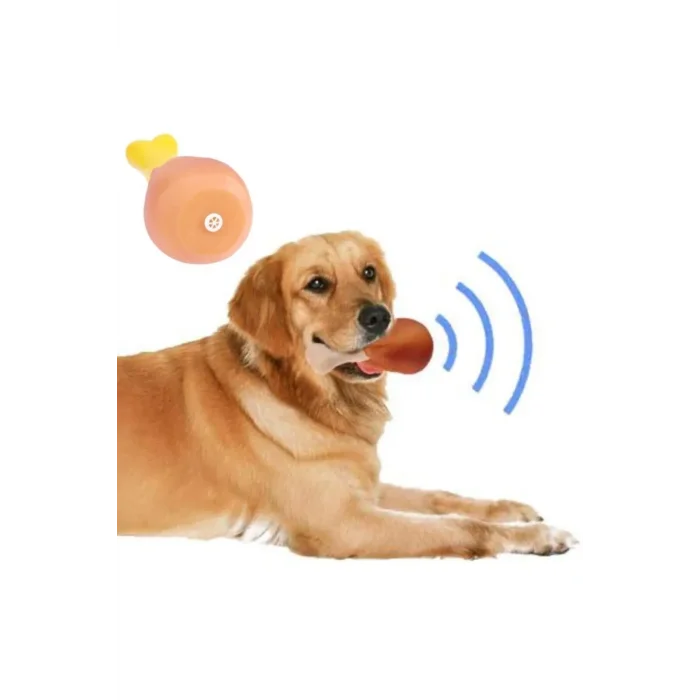 BUĞZ Köpekler İçin Sesli Oyuncak Tavuk Butu