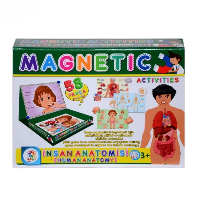  LC7171 Laço, Laço, Manyetik Aktiviteler - İnsan Anatomisi / +3 yaş