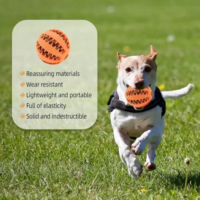  Mama Hazneli Köpek Eğitim Ve Oyun Topu