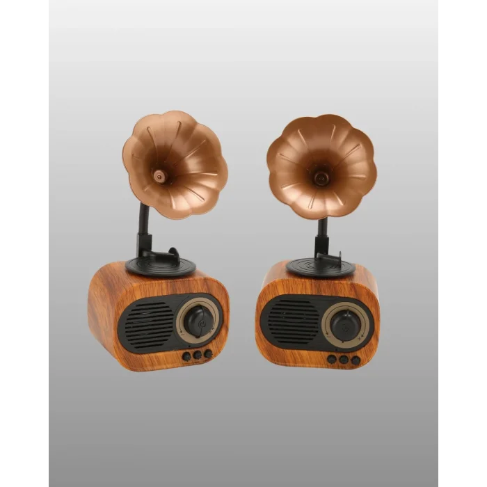 BUĞZ Mini Nostaljik Bluetooth Hoparlör FM Radyo 8 Saat Batarya