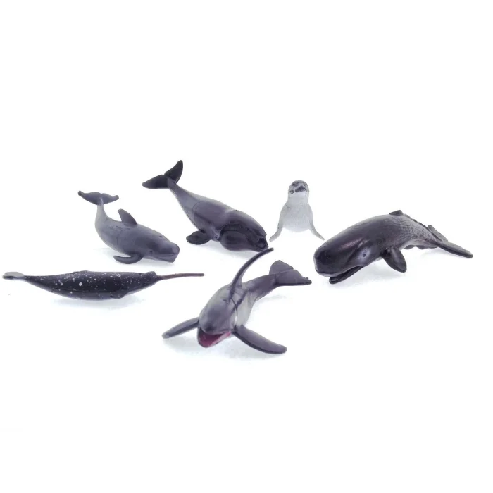  Model Memeli Deniz Hayvanları