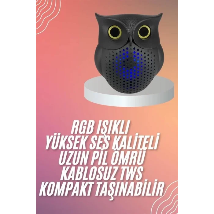  Müzik Çalar Bluetooth Hoparlör Speaker 5.0 Kablosuz Baykuş Görünümlü