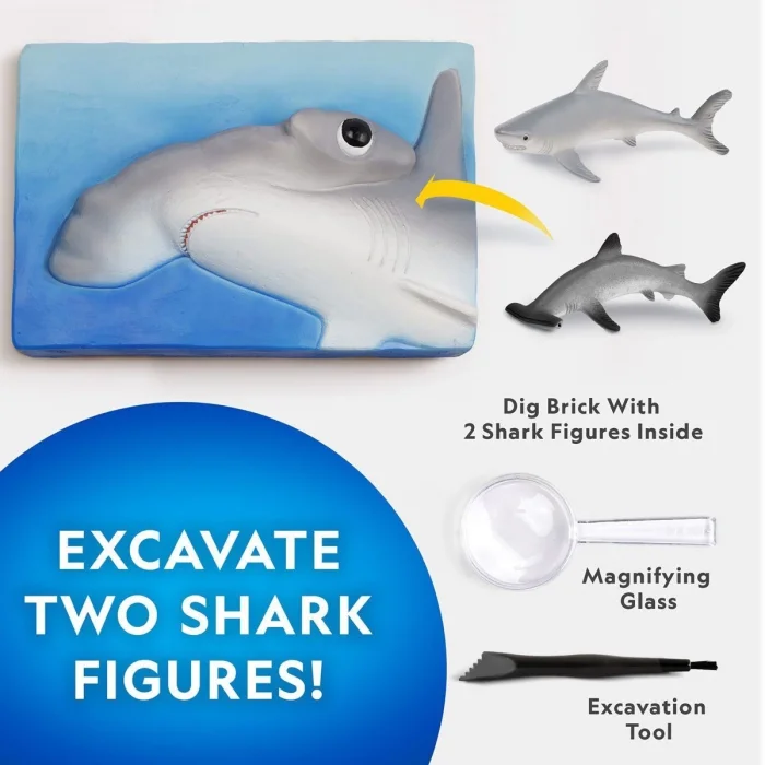  NAT07002 National Geographic Köpek Balığı Bulma Kiti - TRHAMSHDIG +6 yaş