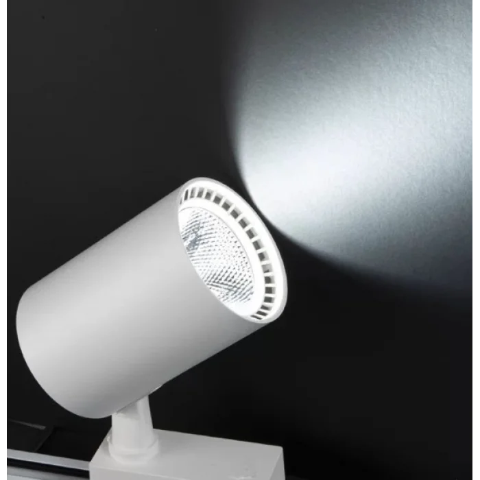  NOAS YL29 3001 Paris 30W Beyaz Kasa Ray Spot 6400K Beyaz Işık
