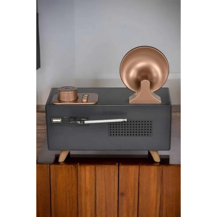 BUĞZ Nostaljik Görünümlü Bluetooth Bağlantılı Speaker