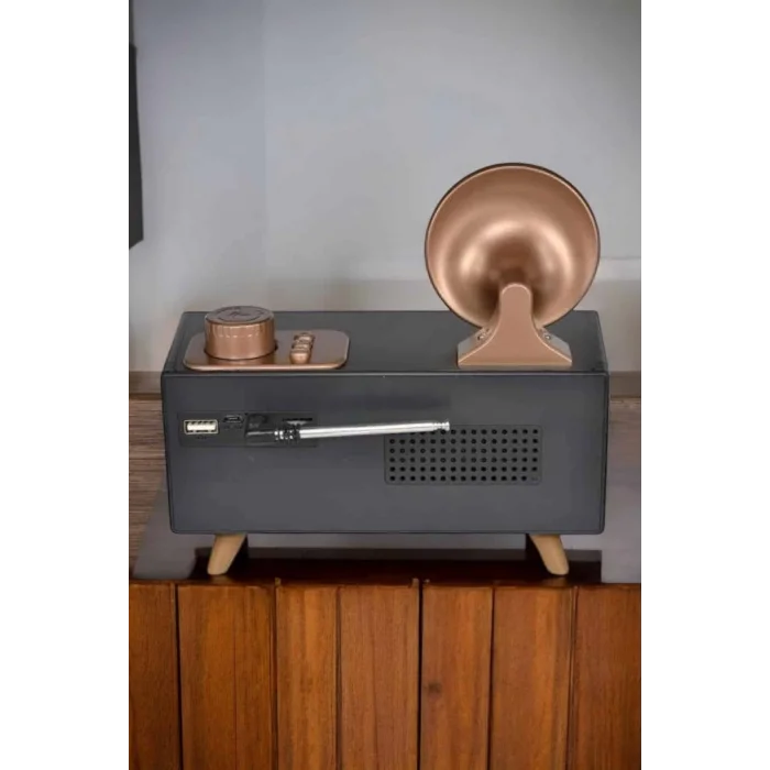 BUĞZ Nostaljik Görünümlü Bluetooth Bağlantılı Speaker - BUĞZ