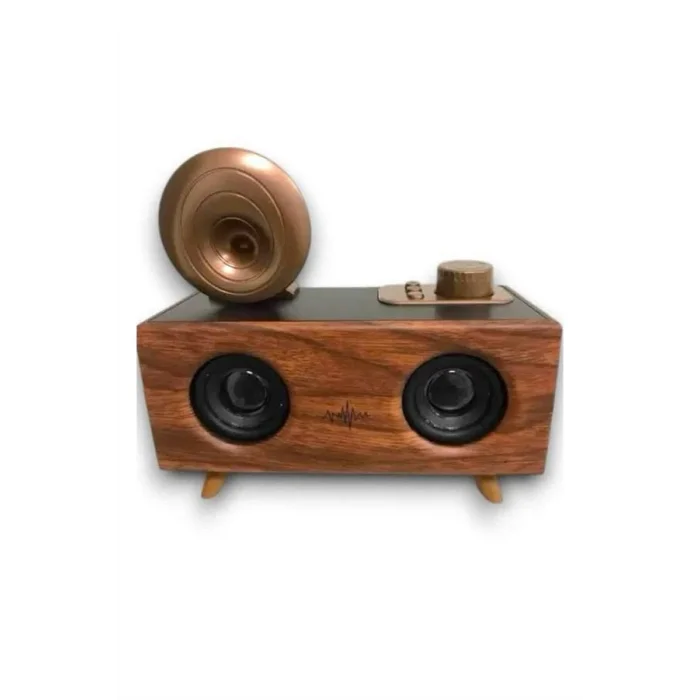BUĞZ Nostaljik Radyo Bluetooth Bağlantılı Şarjlı Yüksek Ses Kaliteli Yeni Nesil - BUĞZ