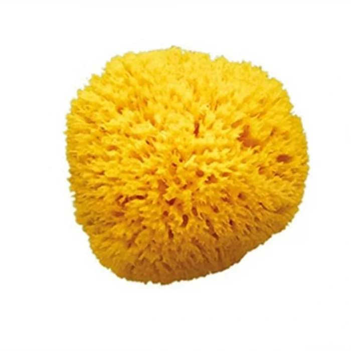 BUĞZ OkBaby Doğal Banyo Süngeri / Orta