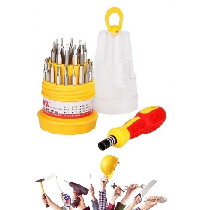 BUĞZ Orta 31 Parça Hassas Tornavida Bits Uç Seti Yumurta Tornavida ( BUĞZ )