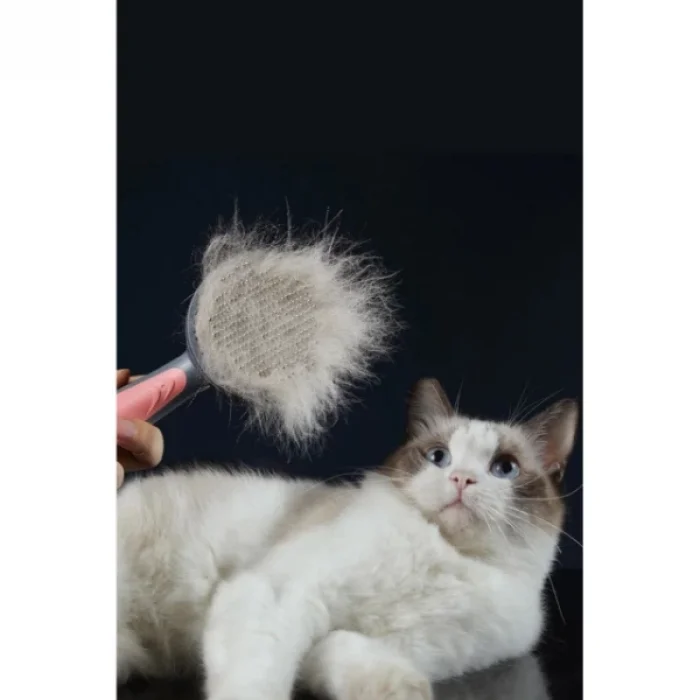 BUĞZ Otomatik Tuşlu Kendini Temizleyen Kedi Köpek Tarağı